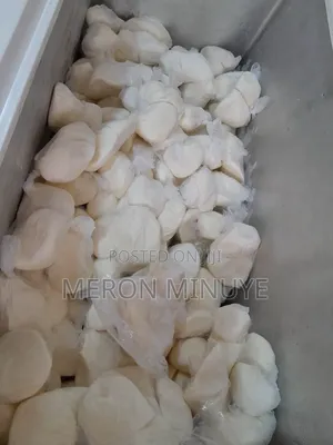 Fresh Mozzarella Cheese