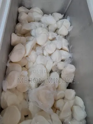 Fresh Mozzarella Cheese