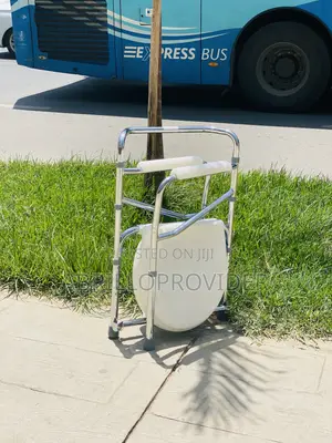 Potty Chair With Armrests, Bedside Commode - Ideal for Adult, Pregnant