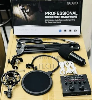 Professional Mic Condenser