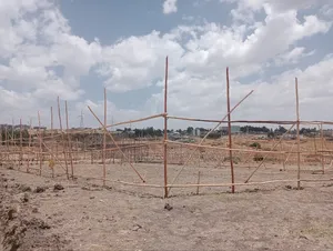 የሚሸጥ 75 ካሬ የኮሪደር ተነሺ(ልማት ተነሺ) መሬት