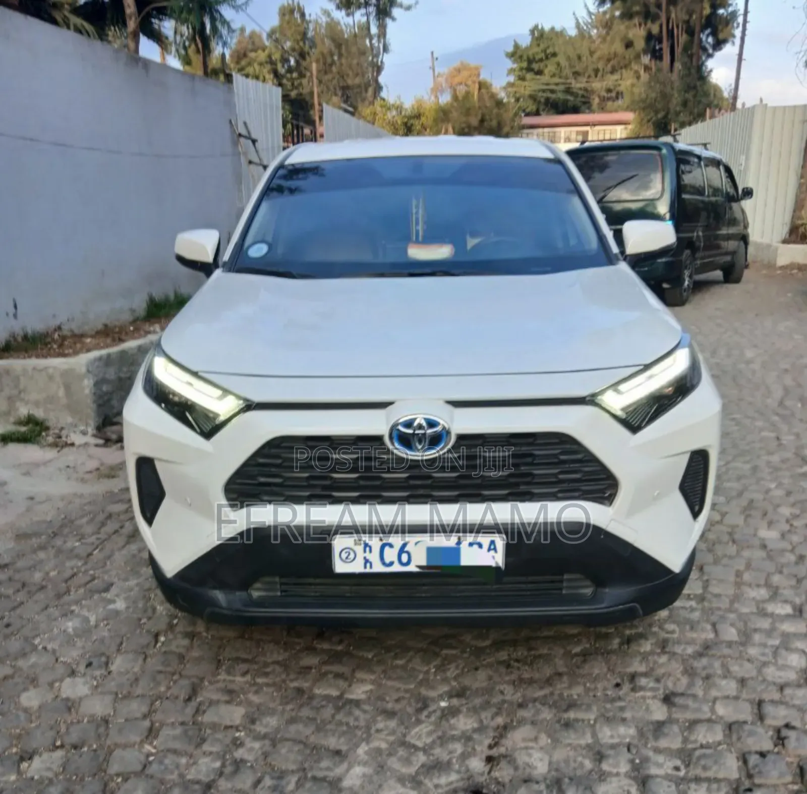 Toyota RAV4 2024