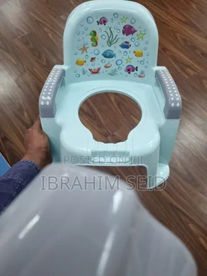 Kids Potty Training Chair