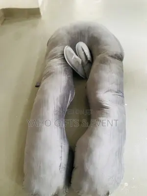 Maternity Pillow (ደንገል)