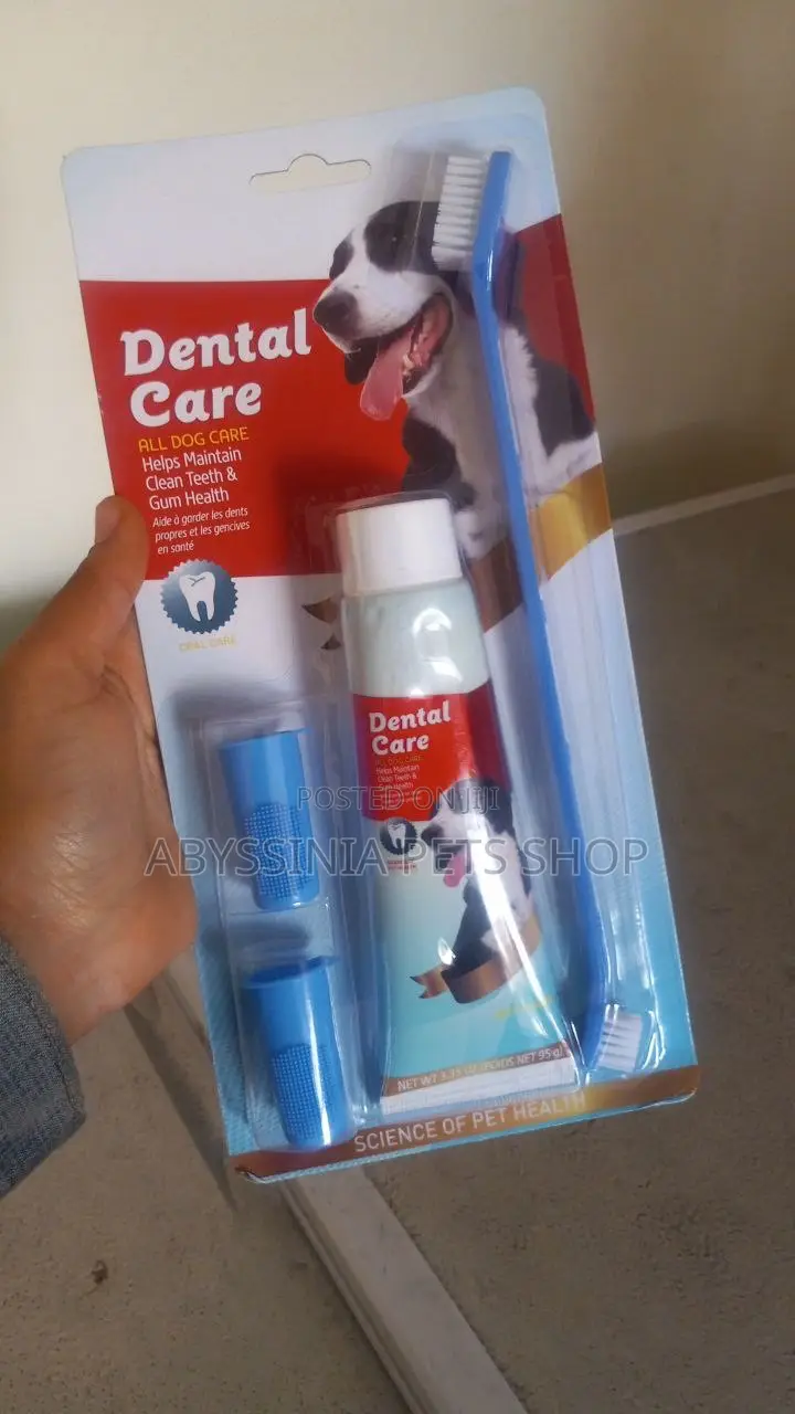 Dog Teeth Brush