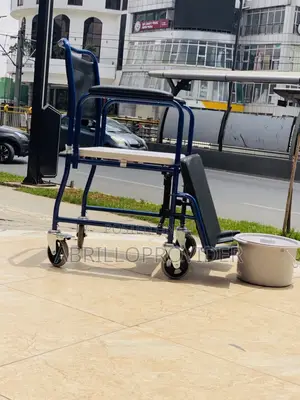 Oilet Chair for Elderly People Steel Commode Chairbedroom Seat417et Wh