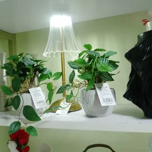 Gifts and Decoration