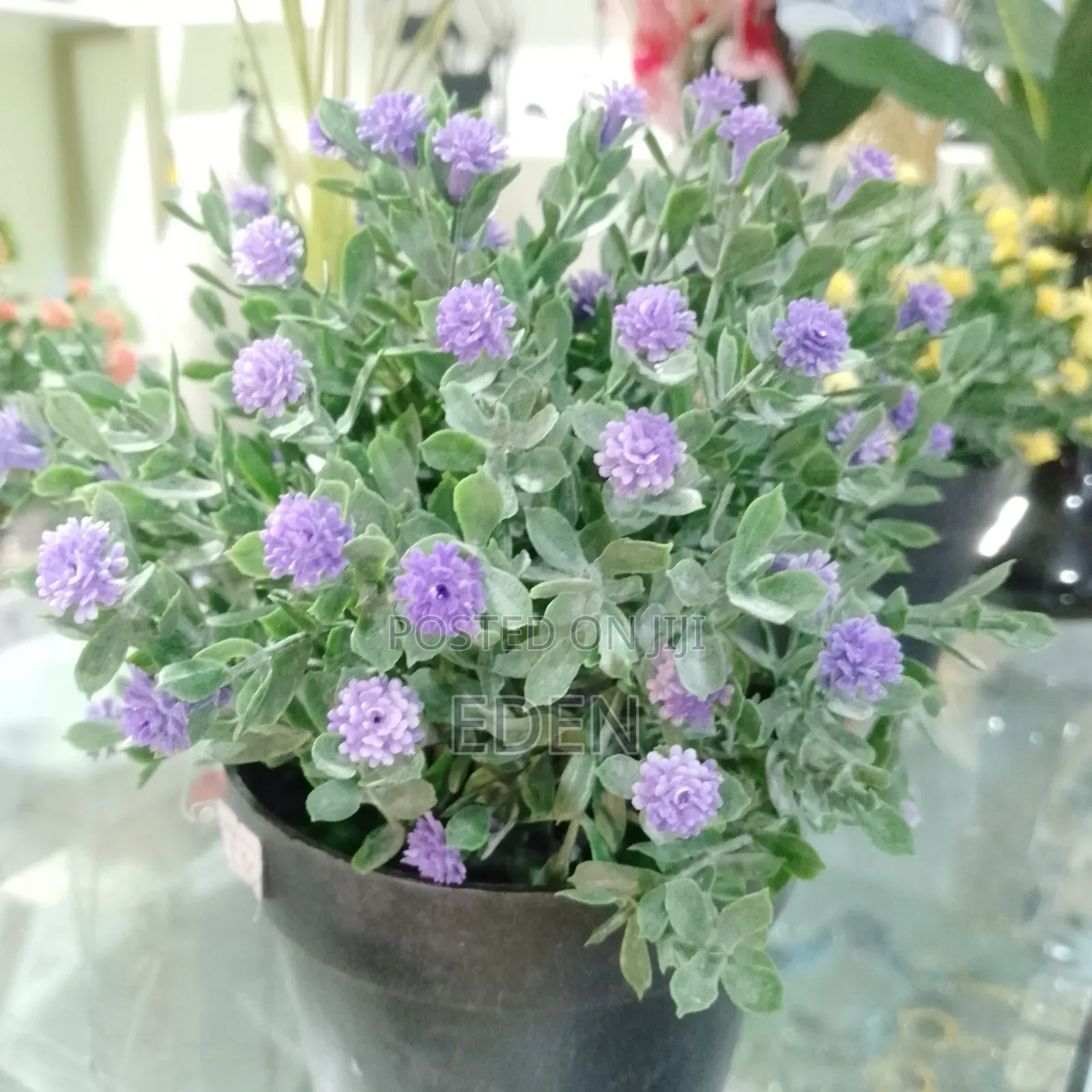 Gifts and Decoration