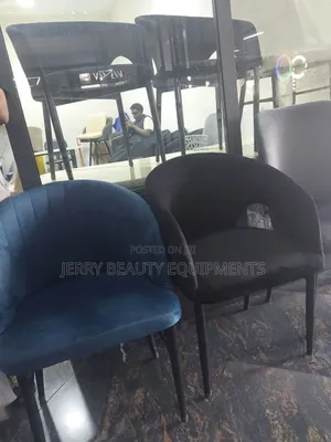 Beauty Salon Chair