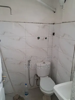 Furnished 1bdrm Condo in Abado Condominium, Yeka for sale