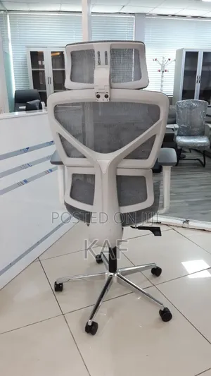 Ergonomic Chair
