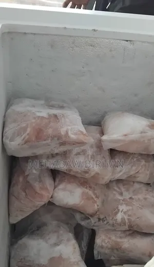 Fresh Fish
