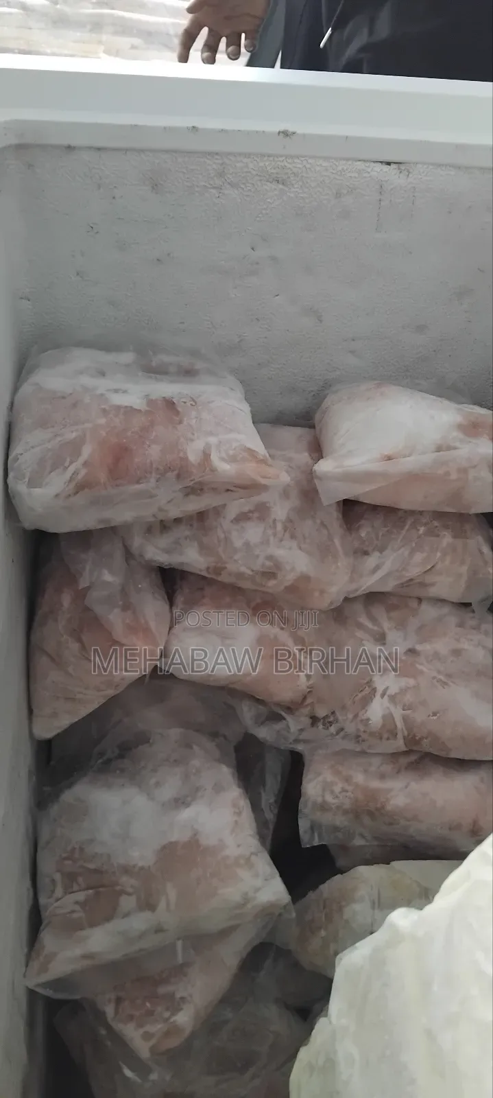 Fresh Fish