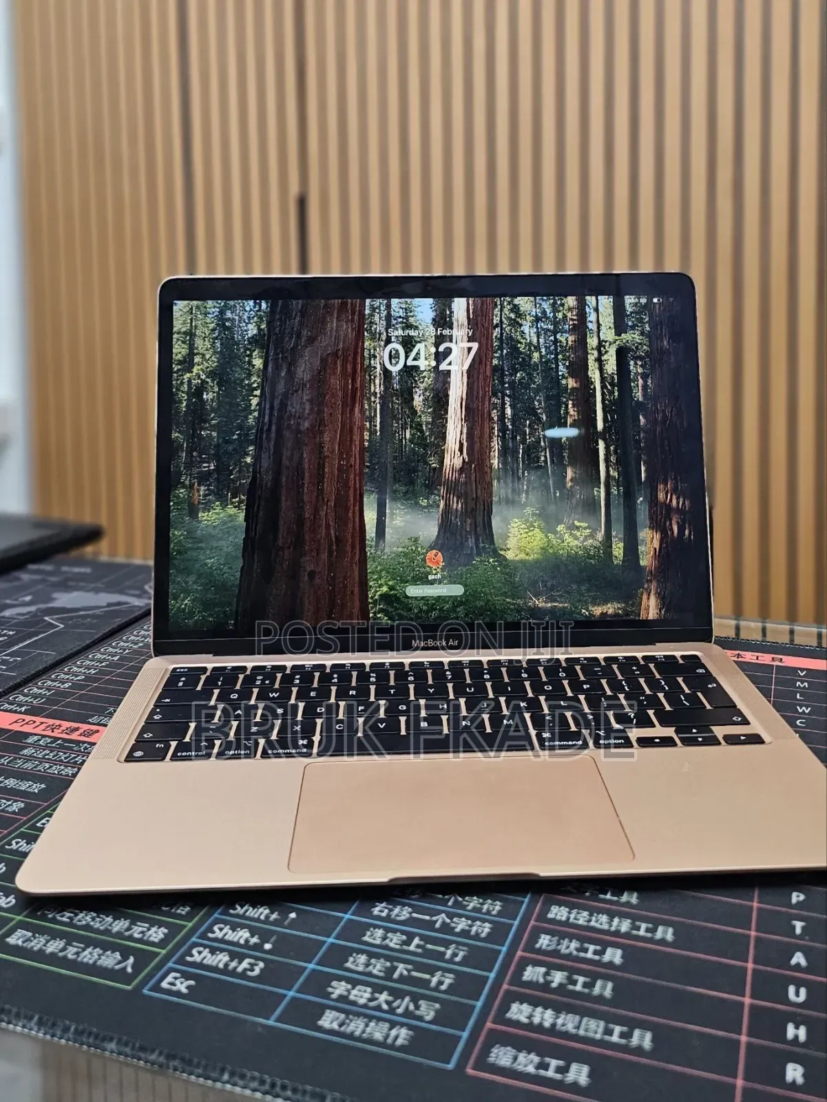 New Laptop Apple MacBook Air 2020 M1 8GB Apple M1 SSD 256GB