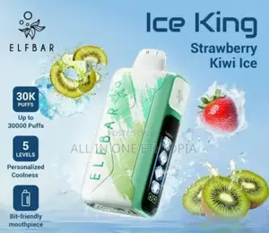 Elfbar Vape Nic King