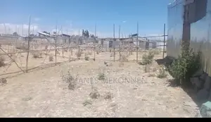 75 ካሬ (ለልማት ተነሺ) የተሰጠ መሬት