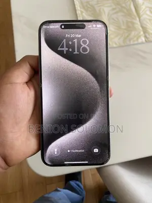 Apple iPhone 15 Pro Max 256 GB Gray