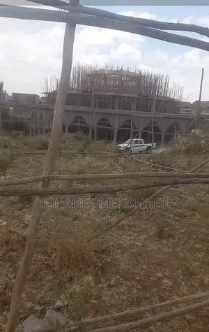 75 ካሬ (ለልማት ተነሺ) የተሰጠ መሬት