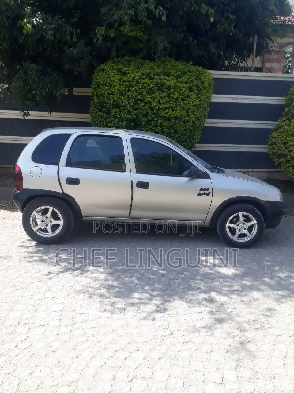 Opel Corsa 1995 Gray