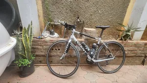 Bicycle Giant From Embassy