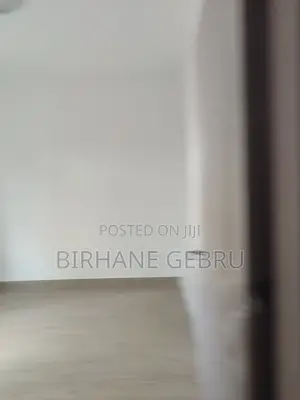 1bdrm Apartment in Luxuru Apartiment, Bole for rent