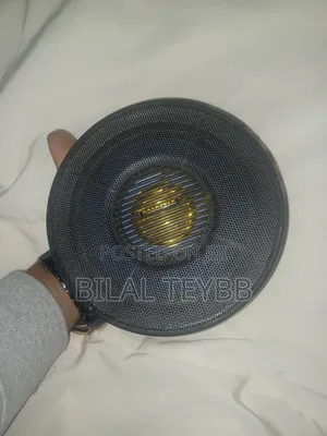 40 W Speaker