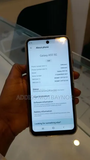 Samsung Galaxy A55 256 GB