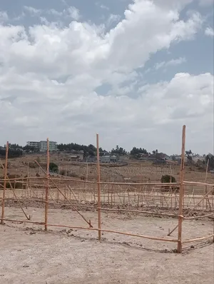 500 ካሬ የልማት (የኮሪደር) ተነሺ የሚሸጥ መሬት