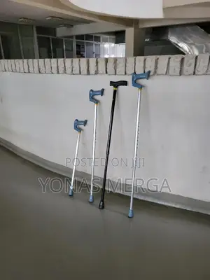 Walking Aids Could Be Availed in Diverse Ranges and Specifications.