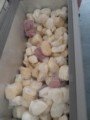 Fresh Mozzarella Cheese for Pizza and Burger