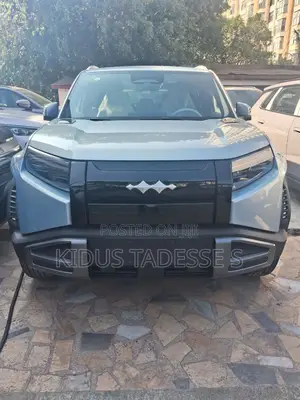 New BYD Leopard 3 2025 Gray