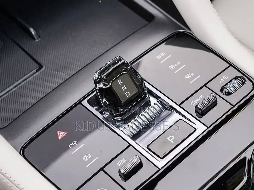 New BYD Song Plus 2025 Gray