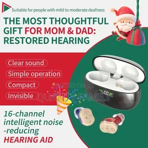 Hearing Aid for 2 Ears