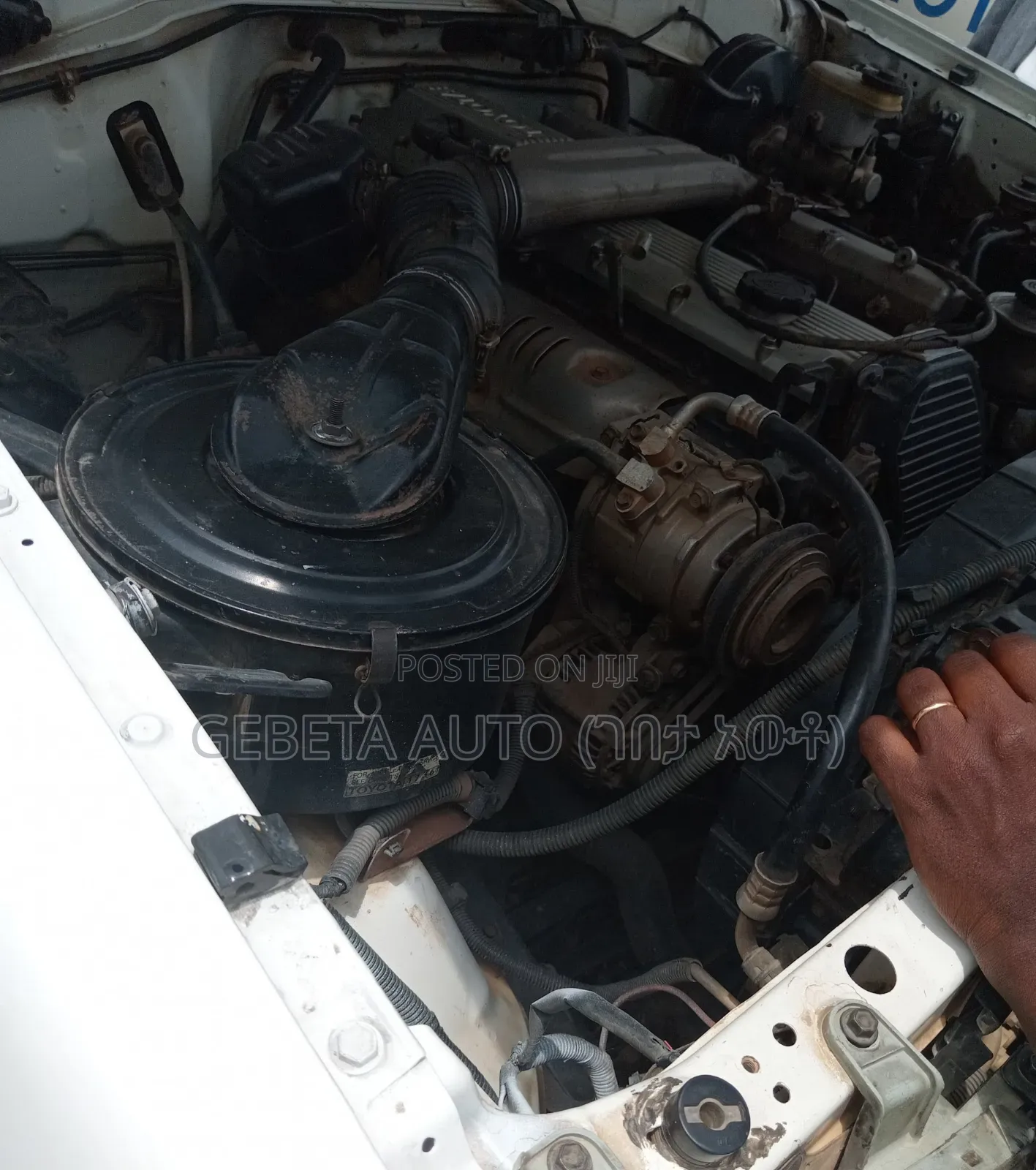 Toyota Land Cruiser 2010 White