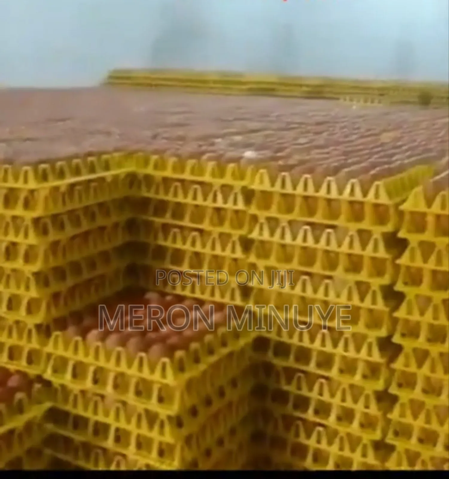 Fresh Eggs
