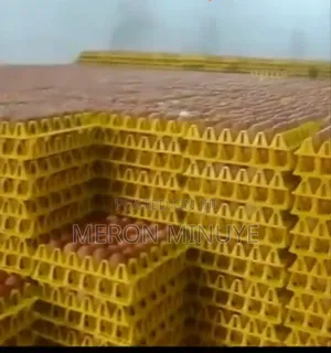 Fresh Eggs