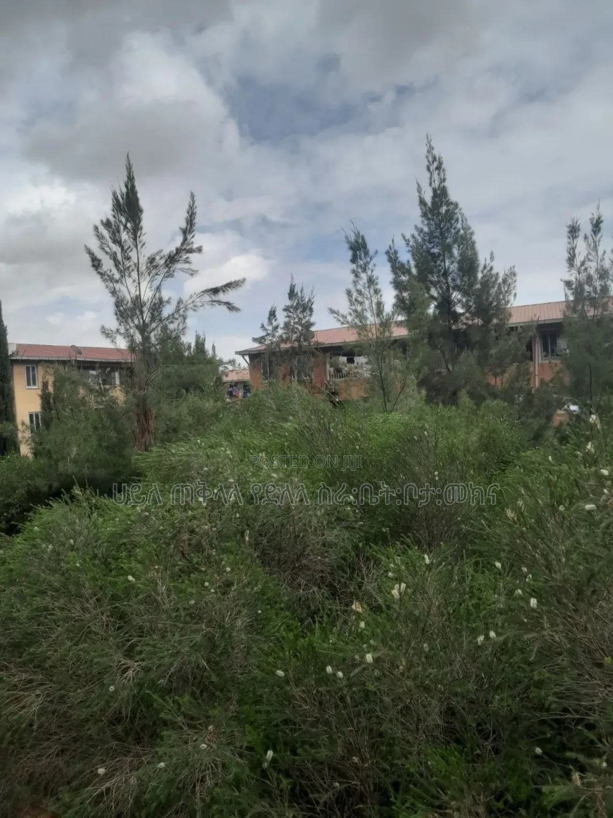 Furnished 1bdrm Condo in አያት ገብርኤል መብራት ሀይል, Yeka for sale
