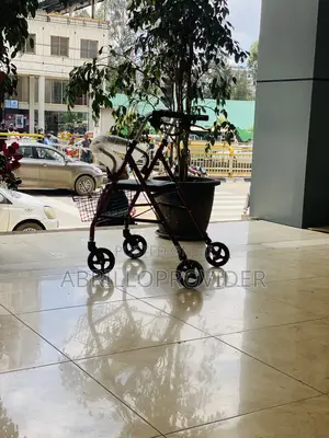 Rollator Walker With Adjustable Folding Armrests