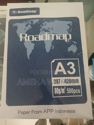 A3 Paper Roadmap