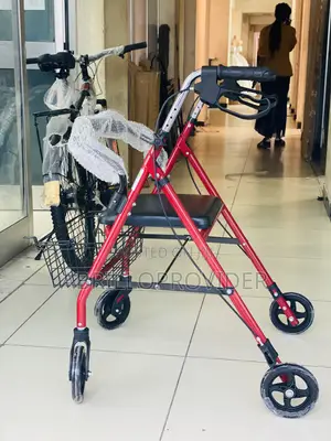 Elderly Rollator Walker With Adjustable Folding Armrests Durable Steel