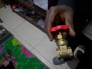 Gate Valve