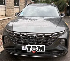 Hyundai Tucson 2022 Gray