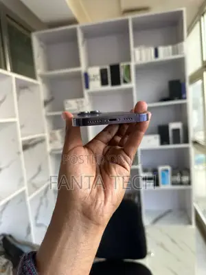 Apple iPhone 14 Pro Max 256 GB Gray