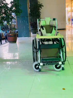 Wheelchair Adjustable Pedal Co Seat Folding Backrest Manual
