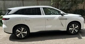 New BYD Tang EV 2025 White