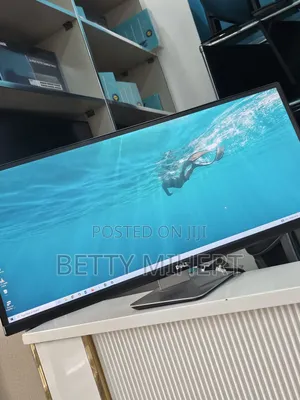 Dell 29inch Frameless Monitor