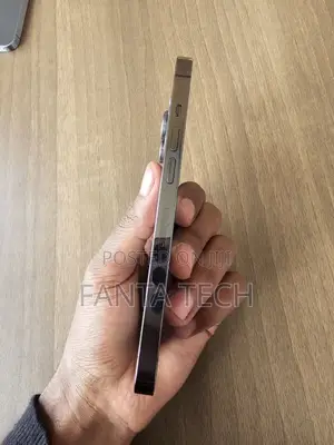 Apple iPhone 13 Pro 256 GB Gray