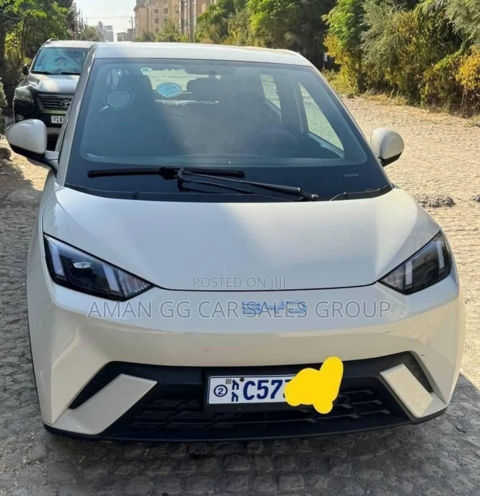 BYD Seagull 2024 White