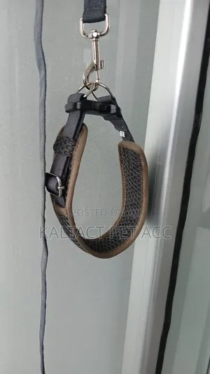 Feborite Dog Collar and Leash