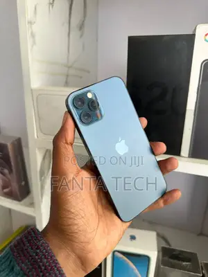 Apple iPhone 12 Pro 256 GB Gray